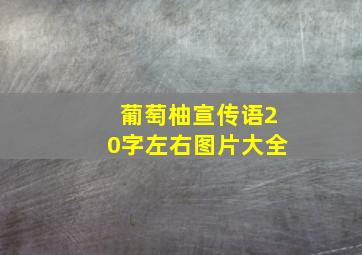 葡萄柚宣传语20字左右图片大全