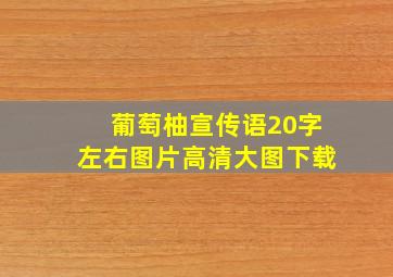 葡萄柚宣传语20字左右图片高清大图下载