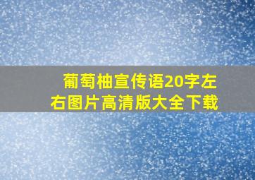 葡萄柚宣传语20字左右图片高清版大全下载