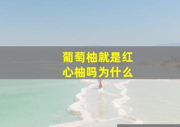 葡萄柚就是红心柚吗为什么