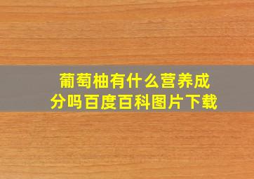 葡萄柚有什么营养成分吗百度百科图片下载