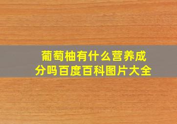 葡萄柚有什么营养成分吗百度百科图片大全