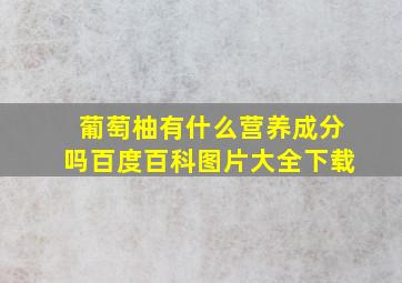 葡萄柚有什么营养成分吗百度百科图片大全下载