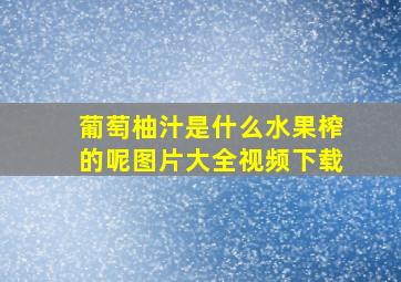 葡萄柚汁是什么水果榨的呢图片大全视频下载