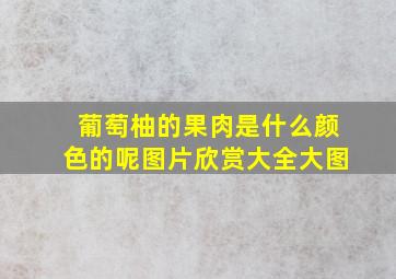 葡萄柚的果肉是什么颜色的呢图片欣赏大全大图