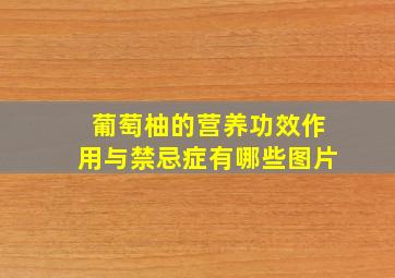 葡萄柚的营养功效作用与禁忌症有哪些图片