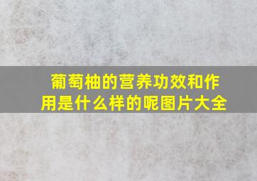 葡萄柚的营养功效和作用是什么样的呢图片大全