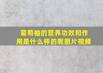 葡萄柚的营养功效和作用是什么样的呢图片视频