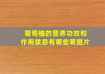 葡萄柚的营养功效和作用禁忌有哪些呢图片