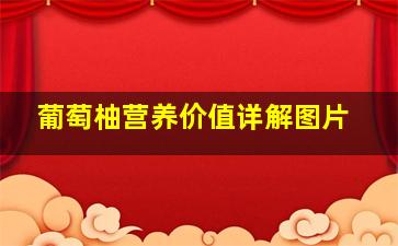 葡萄柚营养价值详解图片