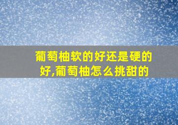 葡萄柚软的好还是硬的好,葡萄柚怎么挑甜的