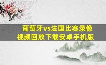 葡萄牙vs法国比赛录像视频回放下载安卓手机版