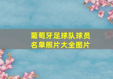 葡萄牙足球队球员名单照片大全图片