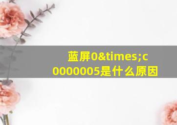 蓝屏0×c0000005是什么原因