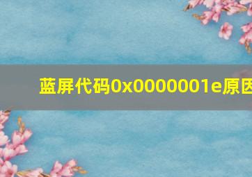 蓝屏代码0x0000001e原因