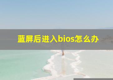 蓝屏后进入bios怎么办