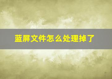 蓝屏文件怎么处理掉了