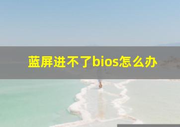 蓝屏进不了bios怎么办