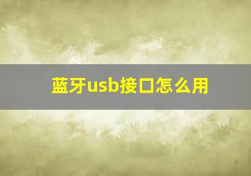 蓝牙usb接口怎么用