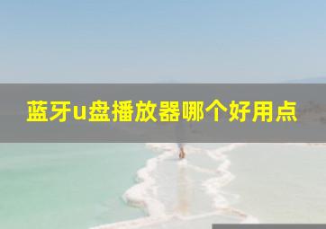 蓝牙u盘播放器哪个好用点