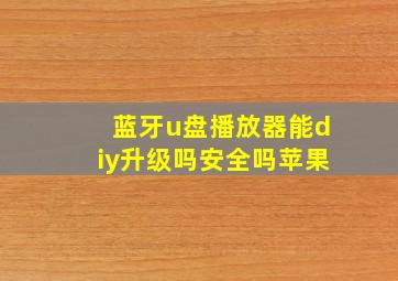 蓝牙u盘播放器能diy升级吗安全吗苹果