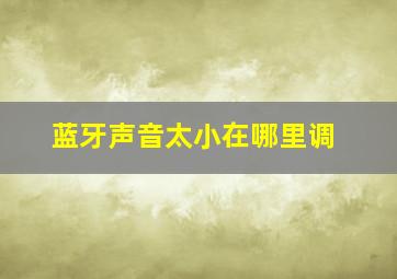 蓝牙声音太小在哪里调