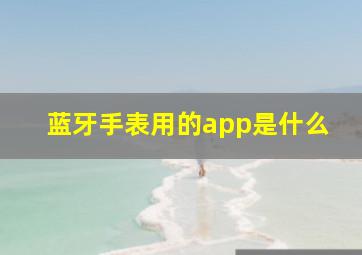 蓝牙手表用的app是什么