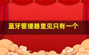 蓝牙管理器里见只有一个