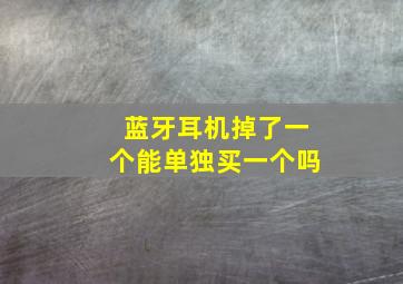 蓝牙耳机掉了一个能单独买一个吗