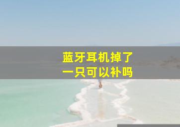 蓝牙耳机掉了一只可以补吗