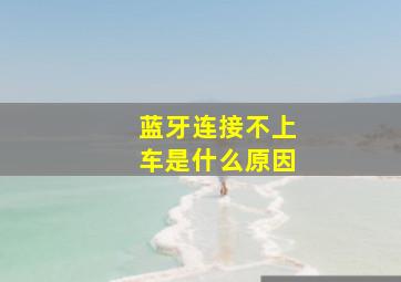 蓝牙连接不上车是什么原因