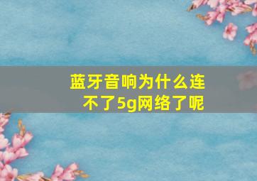 蓝牙音响为什么连不了5g网络了呢