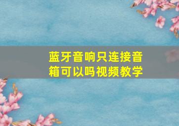 蓝牙音响只连接音箱可以吗视频教学