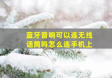 蓝牙音响可以连无线话筒吗怎么连手机上