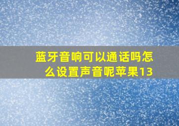 蓝牙音响可以通话吗怎么设置声音呢苹果13