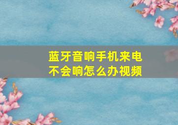 蓝牙音响手机来电不会响怎么办视频