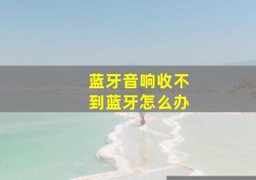 蓝牙音响收不到蓝牙怎么办