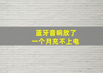 蓝牙音响放了一个月充不上电