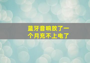 蓝牙音响放了一个月充不上电了