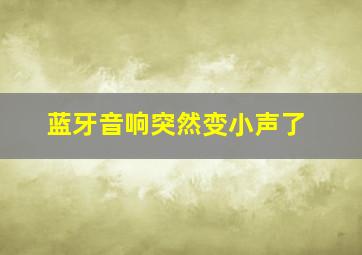 蓝牙音响突然变小声了