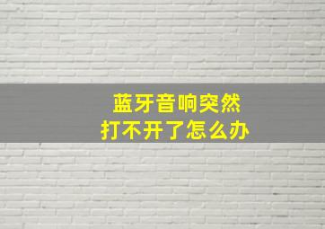 蓝牙音响突然打不开了怎么办