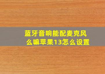 蓝牙音响能配麦克风么嘛苹果13怎么设置