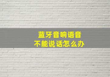 蓝牙音响语音不能说话怎么办