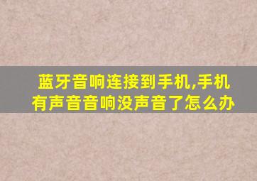 蓝牙音响连接到手机,手机有声音音响没声音了怎么办