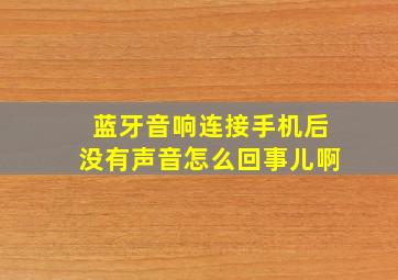 蓝牙音响连接手机后没有声音怎么回事儿啊