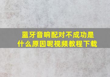 蓝牙音响配对不成功是什么原因呢视频教程下载