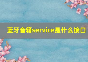 蓝牙音箱service是什么接口