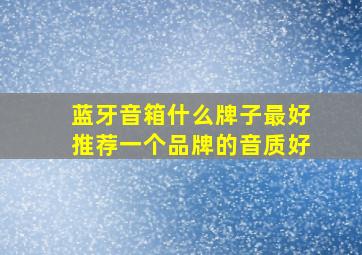 蓝牙音箱什么牌子最好推荐一个品牌的音质好