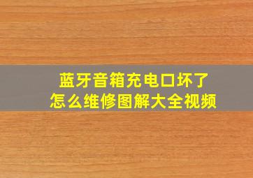 蓝牙音箱充电口坏了怎么维修图解大全视频