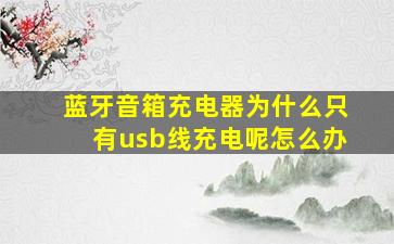 蓝牙音箱充电器为什么只有usb线充电呢怎么办